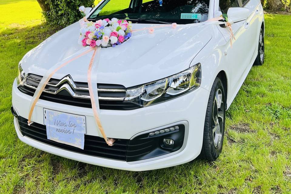 Transporte para novios