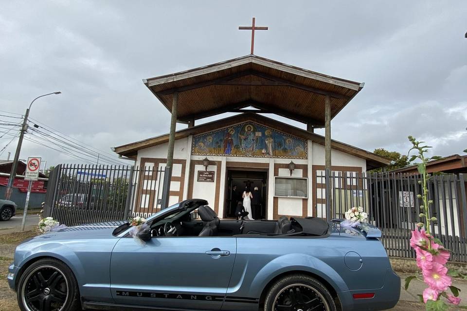 Mustang Chillán