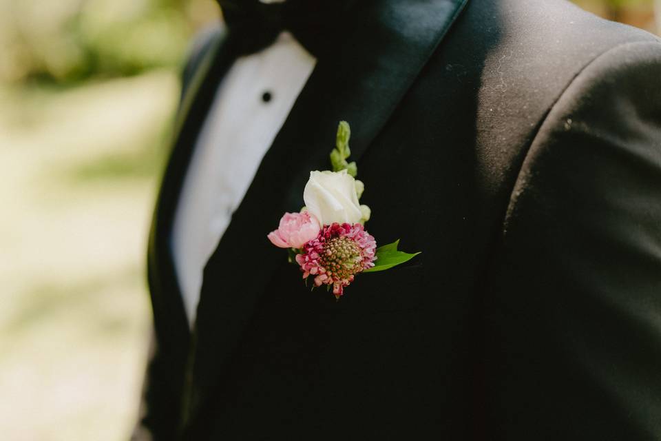 Novios
