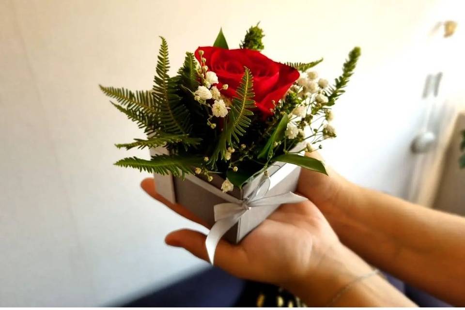 Cofre propuesta de matrimonio