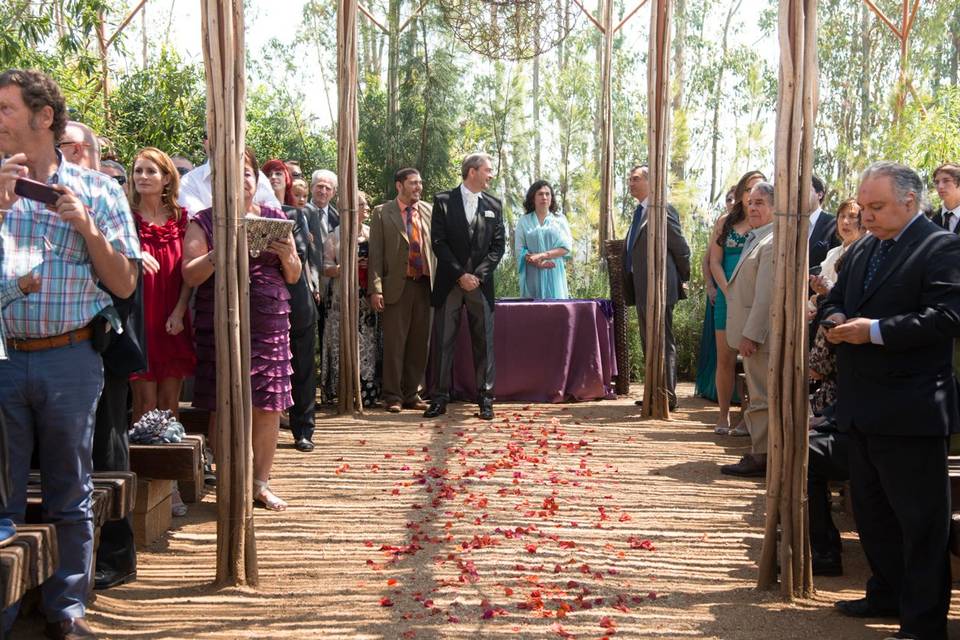 Boda Alejandra y Agustín