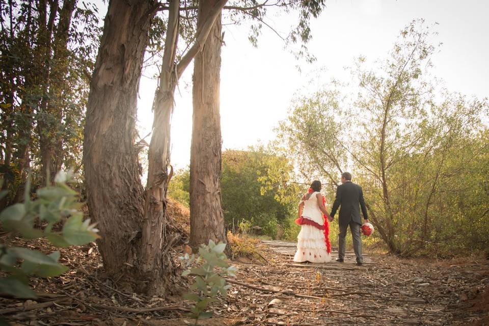 Boda Alejandra y Agustin