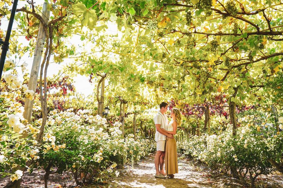 Jardín para eventos