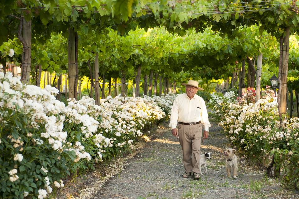 Jardín para eventos