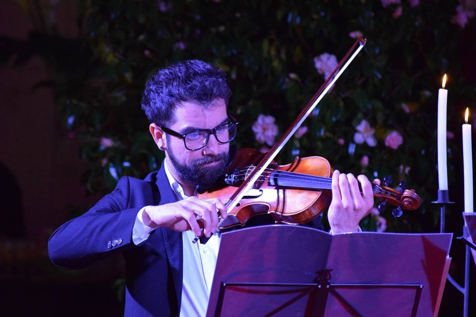 César, violín