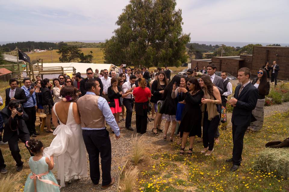 Registro del matrimonio