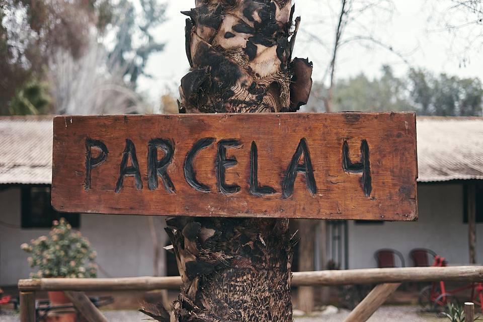 Parcela 4