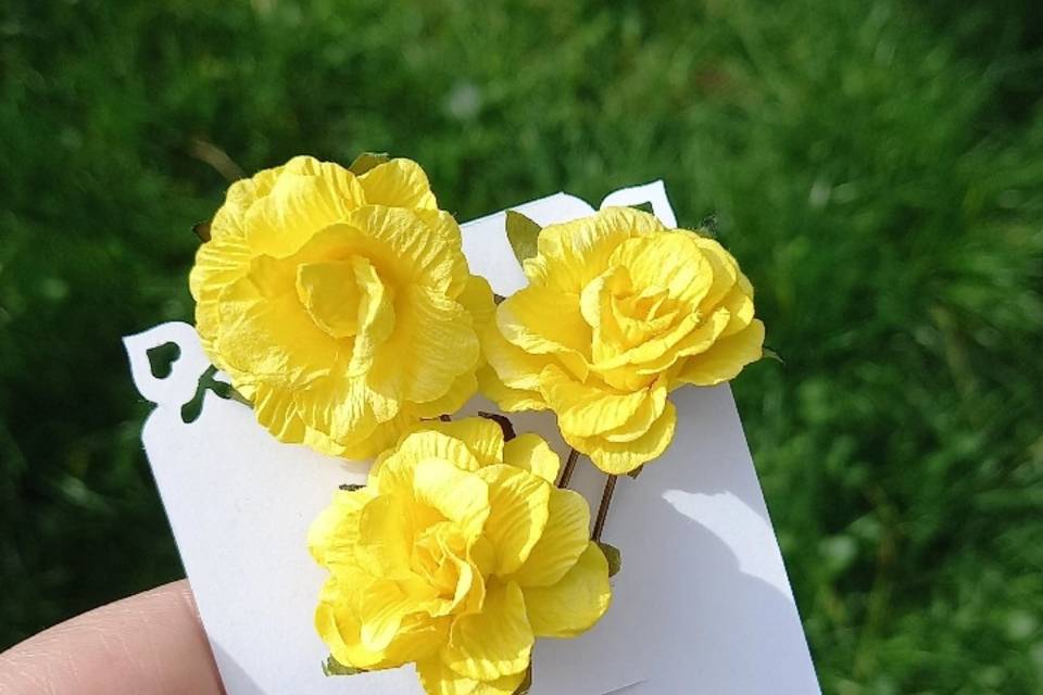 Botánica con Papel