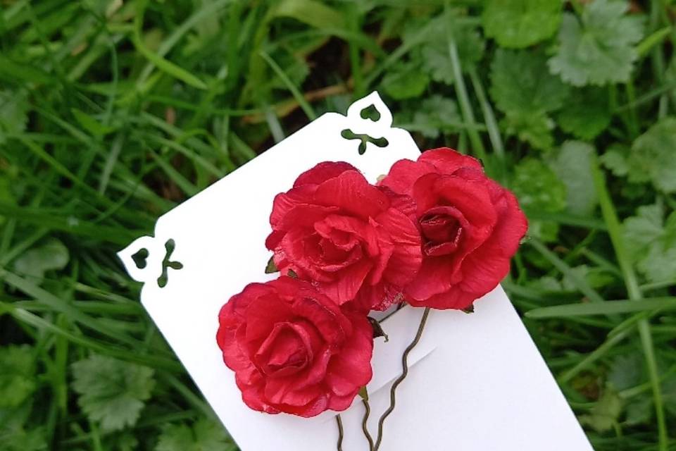 Botánica con Papel