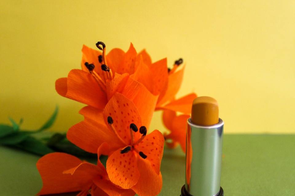 Botánica con Papel