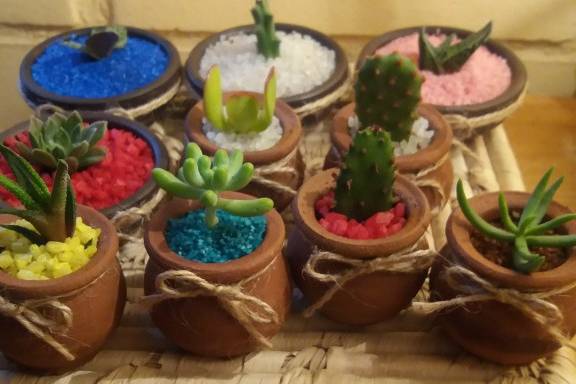 Cactus e Ideas