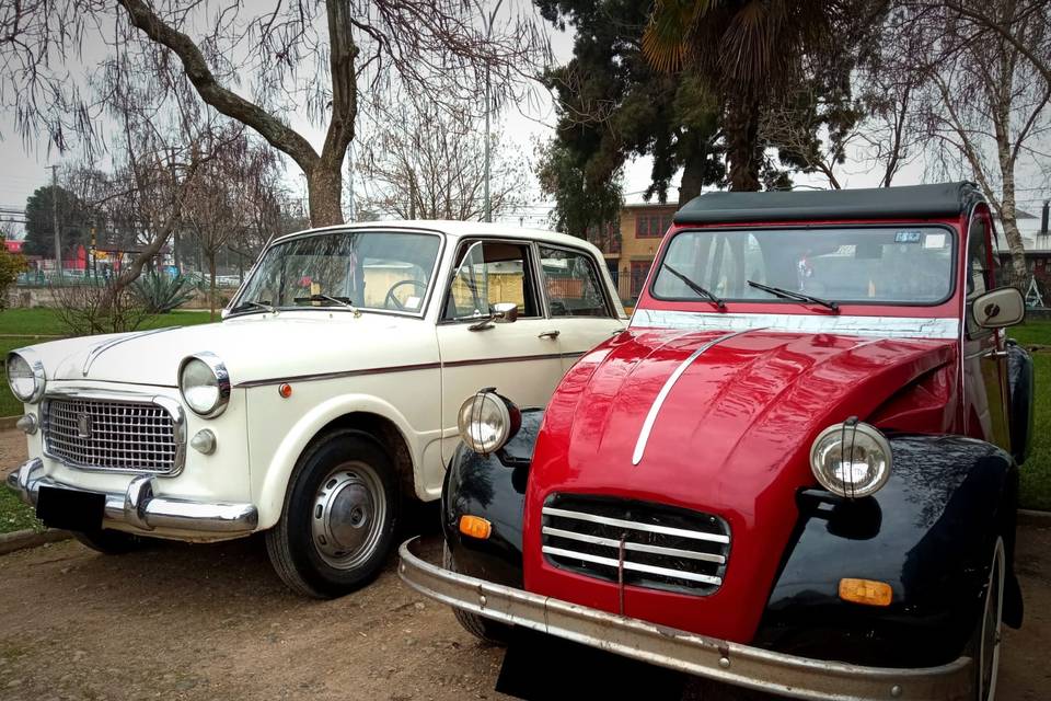 Fiat 1100 y Citroën 2cv