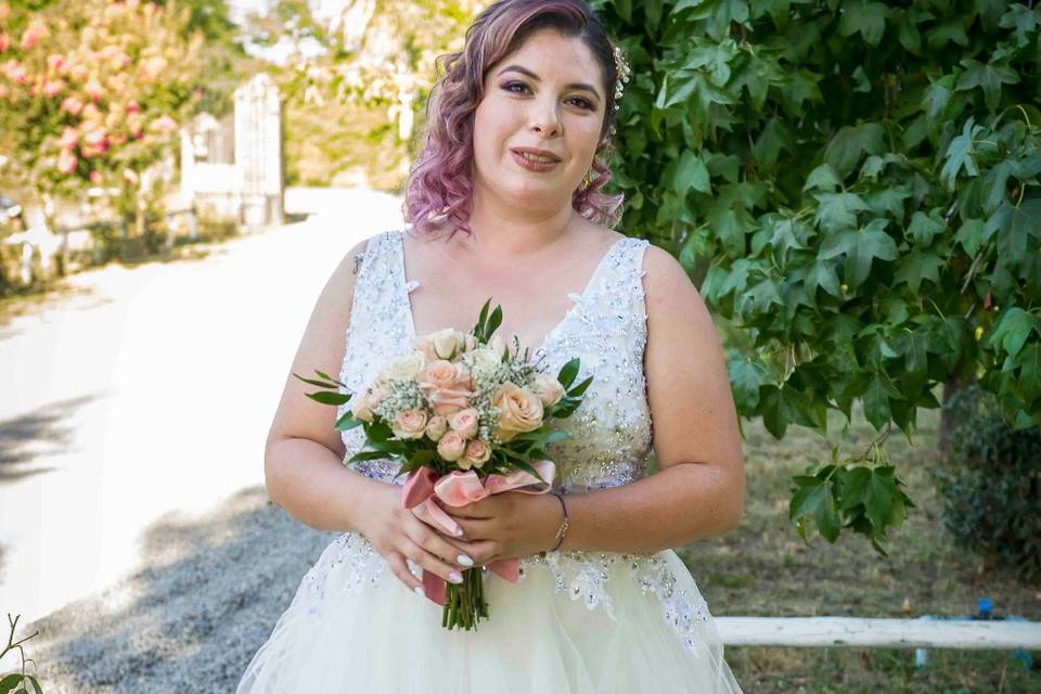 Constanza una novia soñada