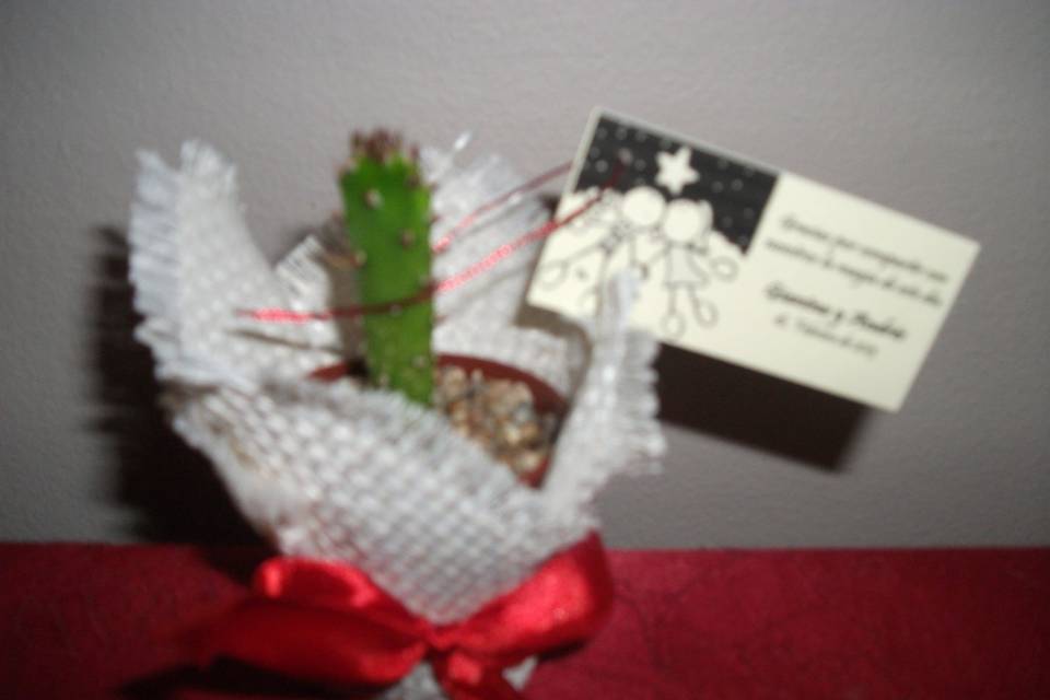 Saco yute lino blanco cactus