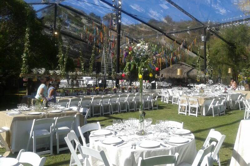 Carpa transparente