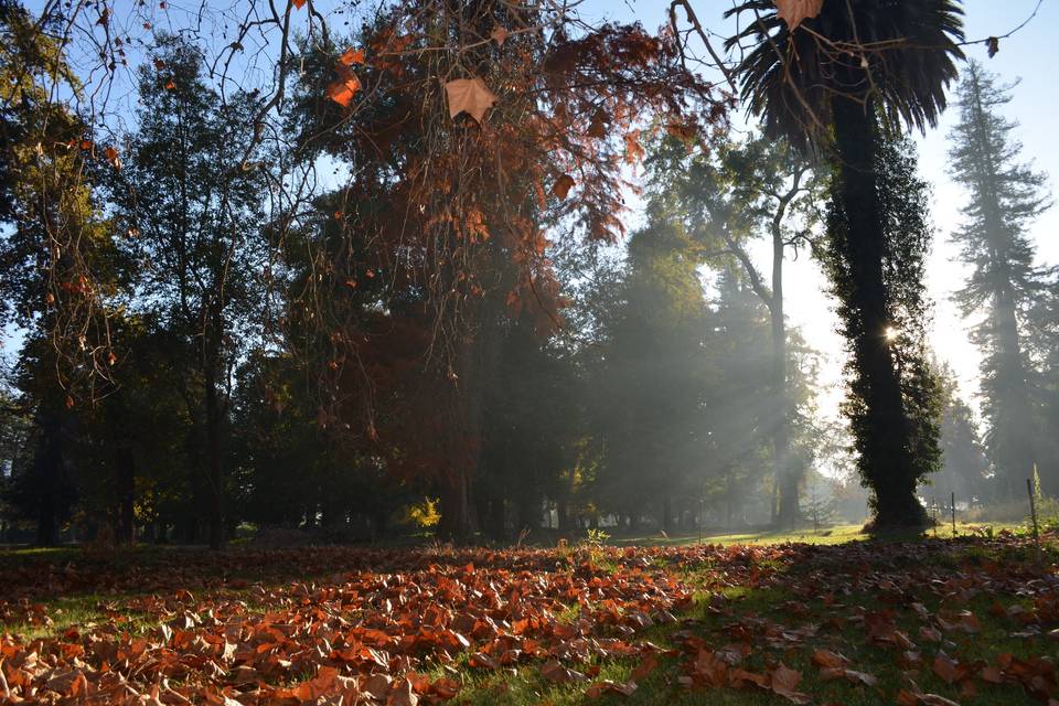 Parque en otoño