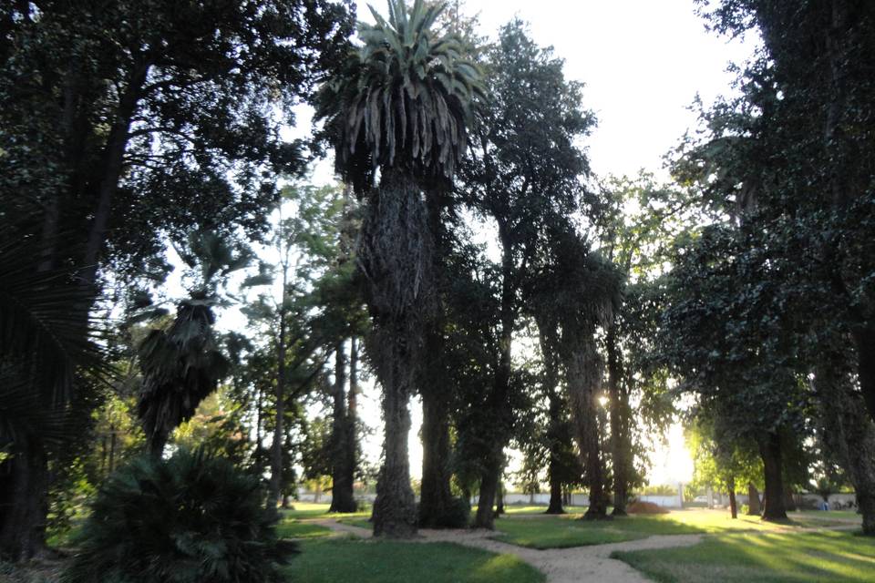 Senderos del parque