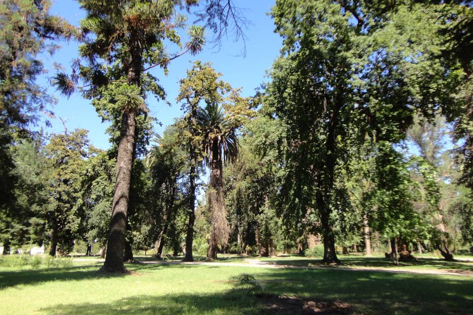 Parque en verano