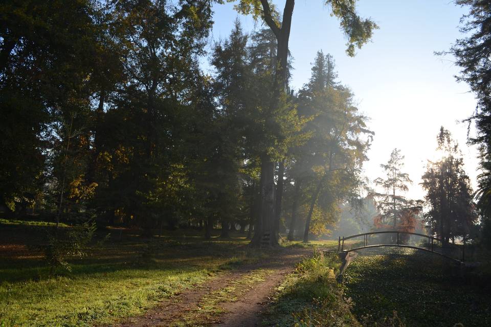Caminos del parque