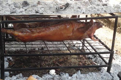 Chancho a la lata