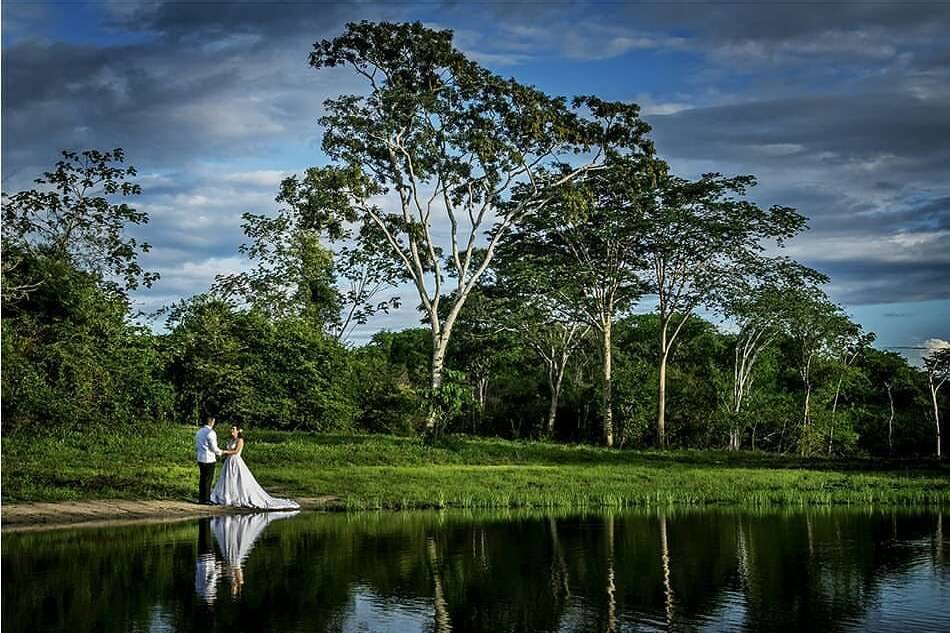 Amor en el bosque