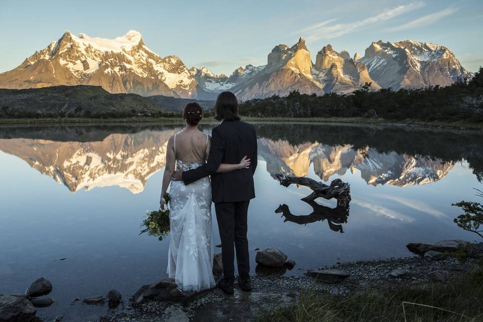 Elope en torres del paine