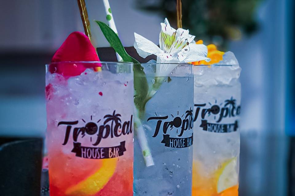 Tropical house bar