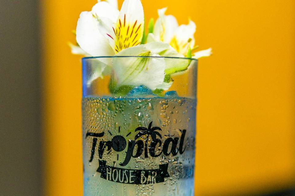 Tropical house bar