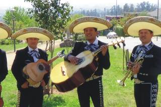 Mariachi Tierra Nueva