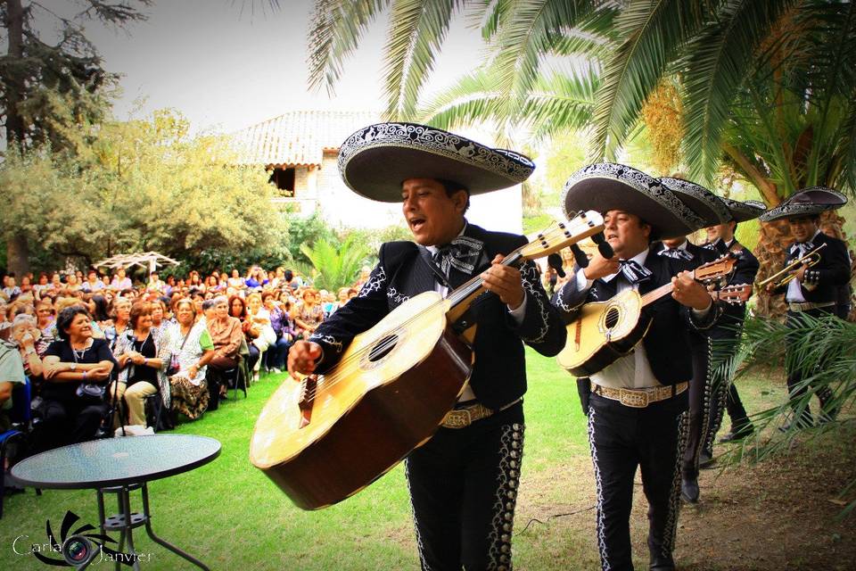 Mariachi Tierra Nueva