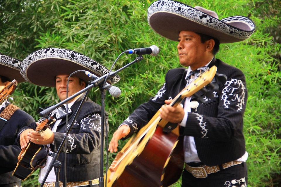 Mariachi Tierra Nueva