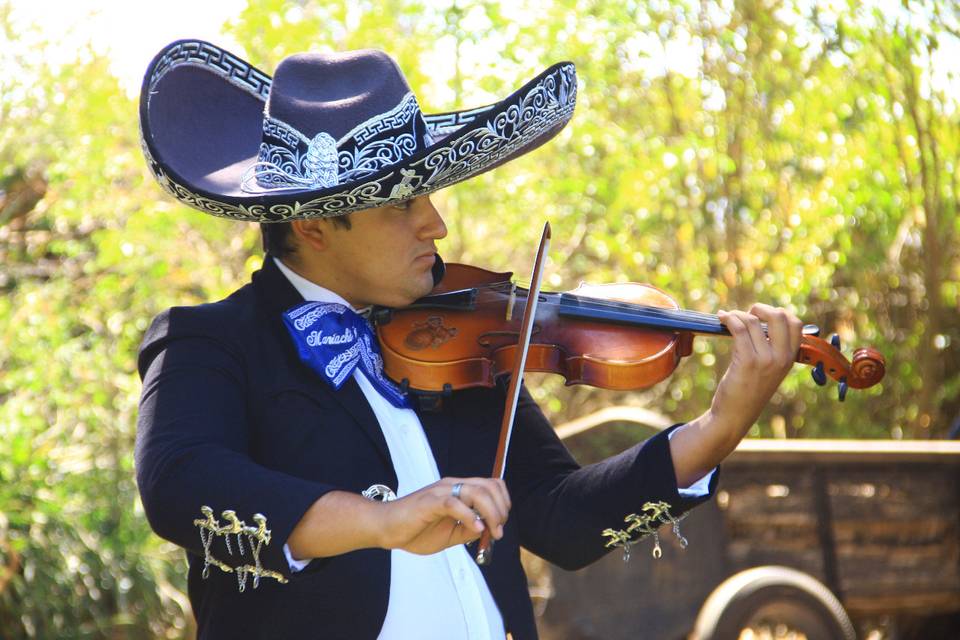 Mariachi Tierra Nueva