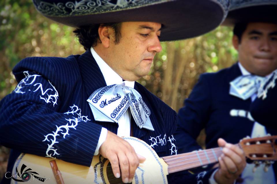 Mariachi Tierra Nueva