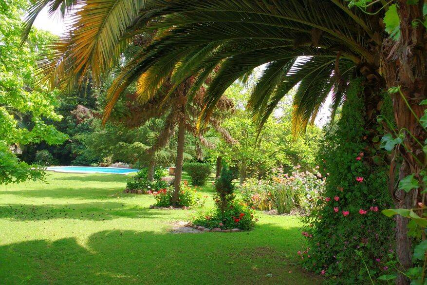 Jardín con palmeras
