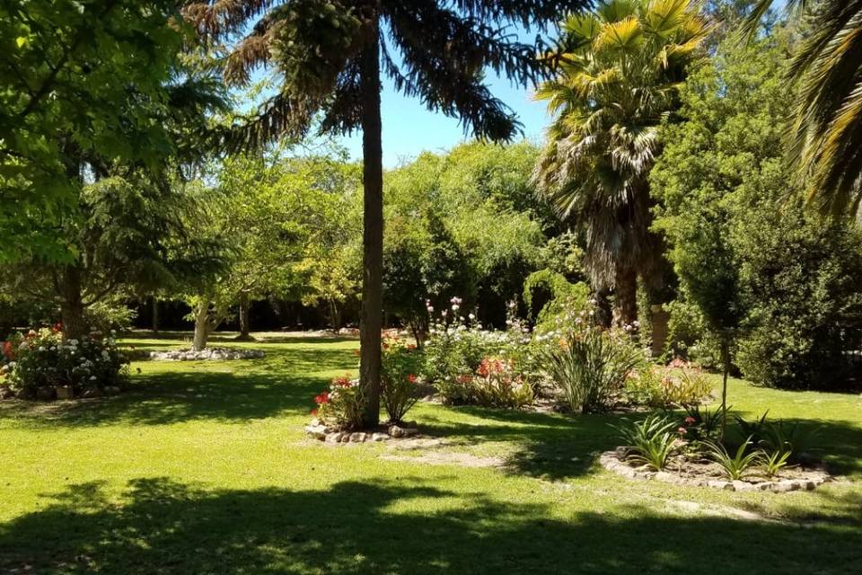 Jardines con araucarias