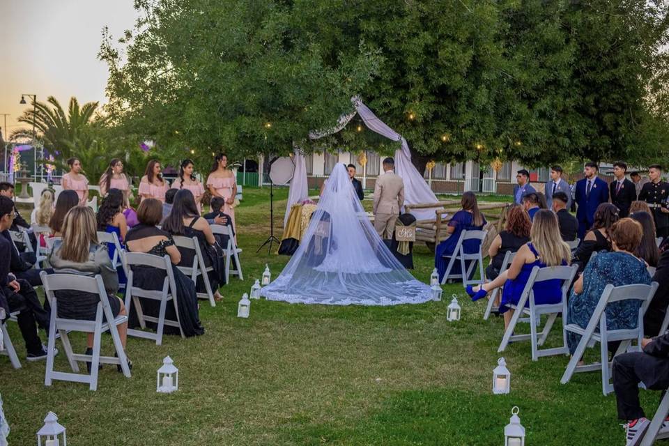 Ceremonia bajo el árbol