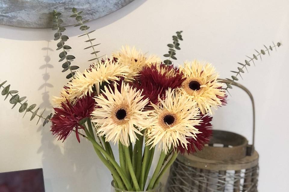 Gerberas spider