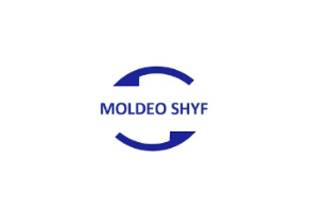 Moldeo Shyf