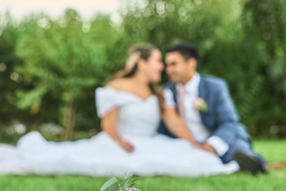 Novios