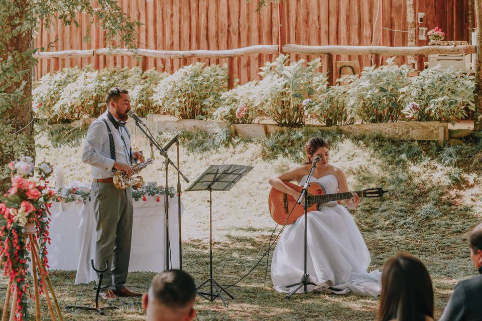 Novios artistas