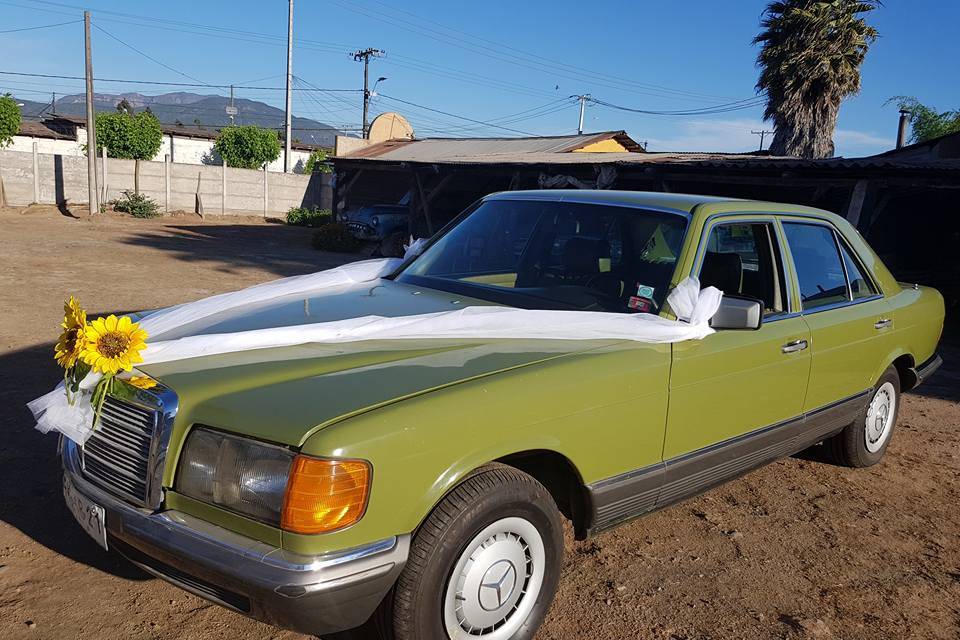 Mercedez Benz 280S 1981