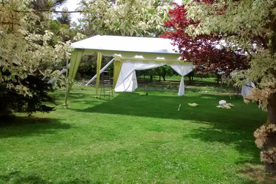 Toldo