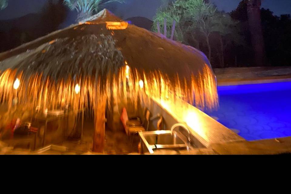 Noche tropical