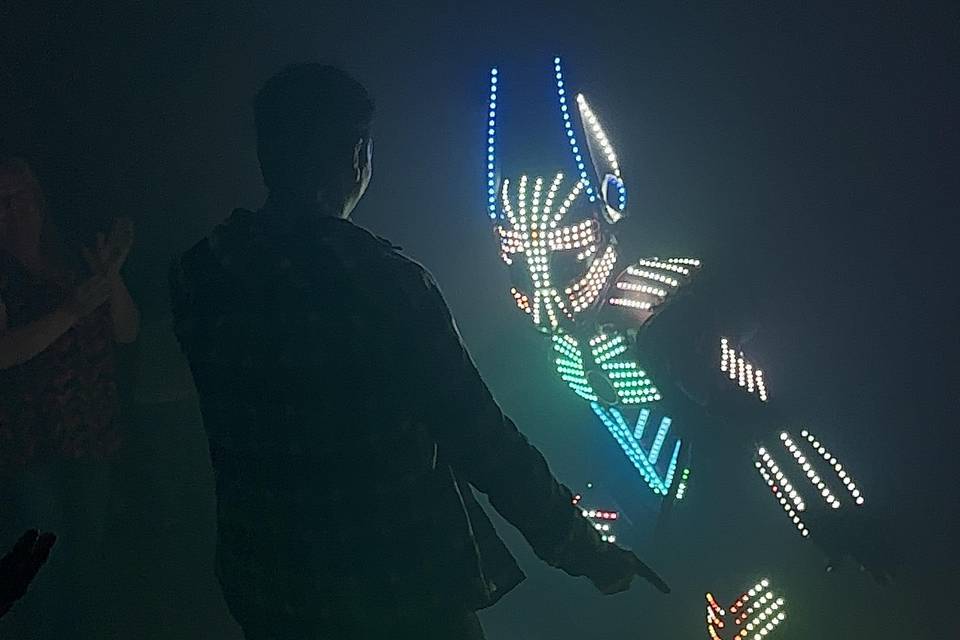 Robot led show