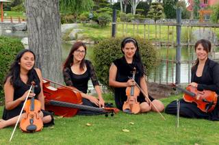 Cuarteto Alma