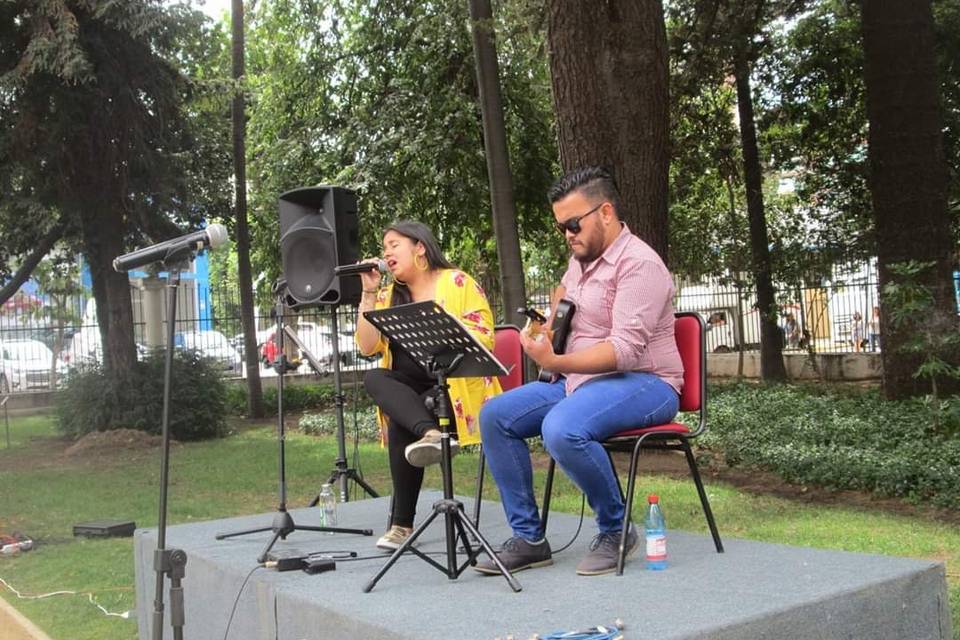 Café musical, Palacio Rioja