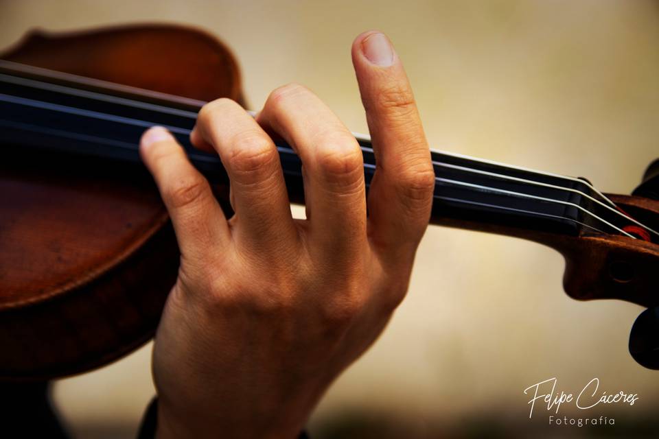 Anibal viveros violín