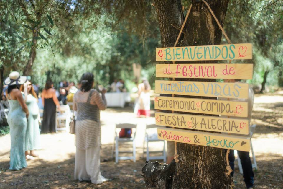 Matrimonio en olivar