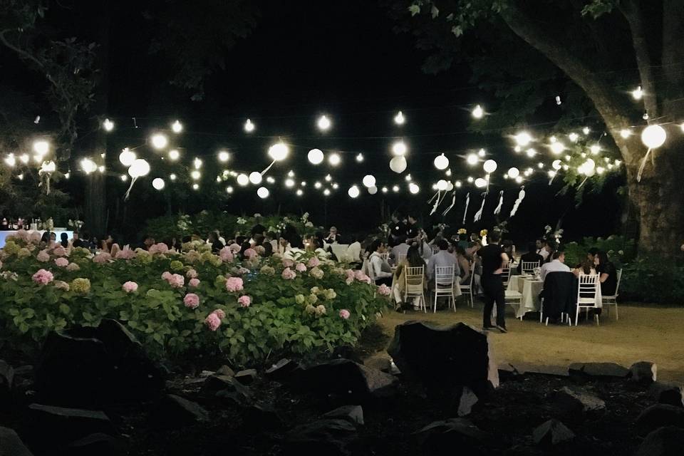 Matrimonio nyj