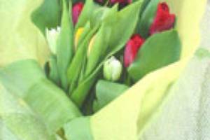Ramo con tulipanes